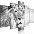 Canvas Print - The King of Beasts (5 Parts) Wide Black and White