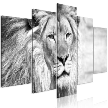 Canvas Print - The King of Beasts (5 Parts) Wide Black and White