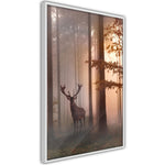 Poster - Forest Seclusion