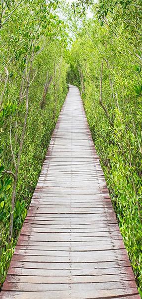 Photo wallpaper on the door - The Path of Nature