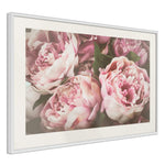 Poster - Pastel Peonies