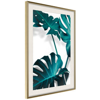 Poster - Turquoise Monstera II