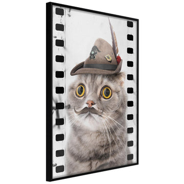 Poster - Dressed Up Cat