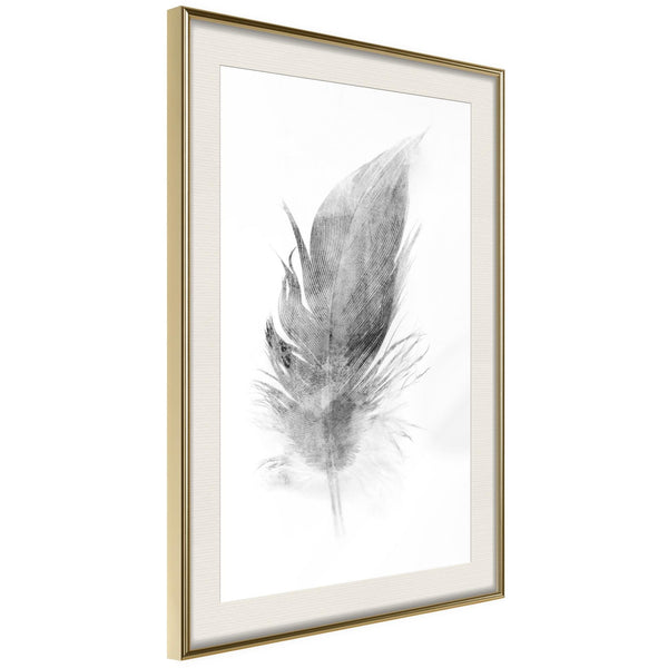 Poster - Lost Feather (Grey)