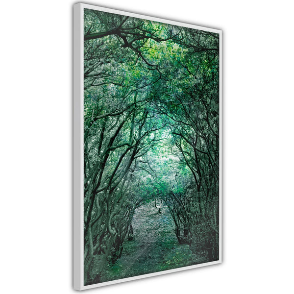 Poster - Tree Tunnel