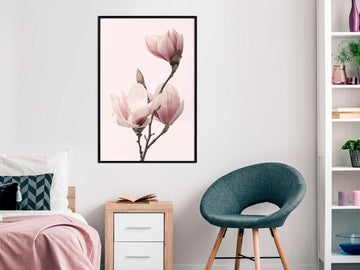 Poster - Blooming Magnolias III