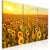 Canvas Print - Sunflowers at Sunset (3 Parts)