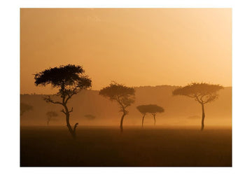 Wallpaper - Massai Mara