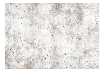 Wallpaper - Urban Style: Concrete