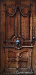 Photo wallpaper on the door - Luxury Door