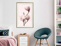 Poster - Blooming Magnolias III