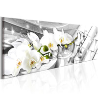 Canvas Print - Twisted Orchids