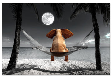 Canvas Print - Elephant on a Hammock (1 Part) Wide