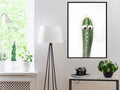 Poster - Funny Cactus I