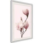 Poster - Blooming Magnolias III