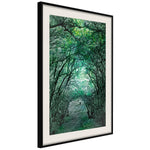 Poster - Tree Tunnel