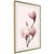 Poster - Blooming Magnolias III