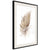 Poster - Lost Feather (Beige)