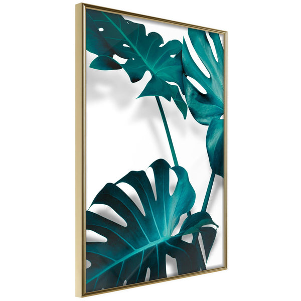 Poster - Turquoise Monstera II