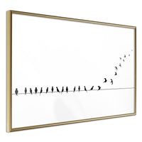 Poster - Birds on a Wire