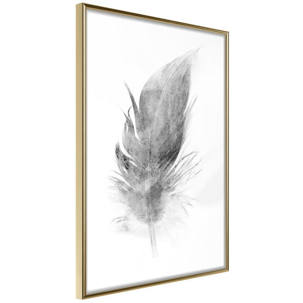 Poster - Lost Feather (Grey)