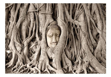 Wallpaper - Buddha's Tree