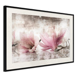 Poster - Picked Magnolias