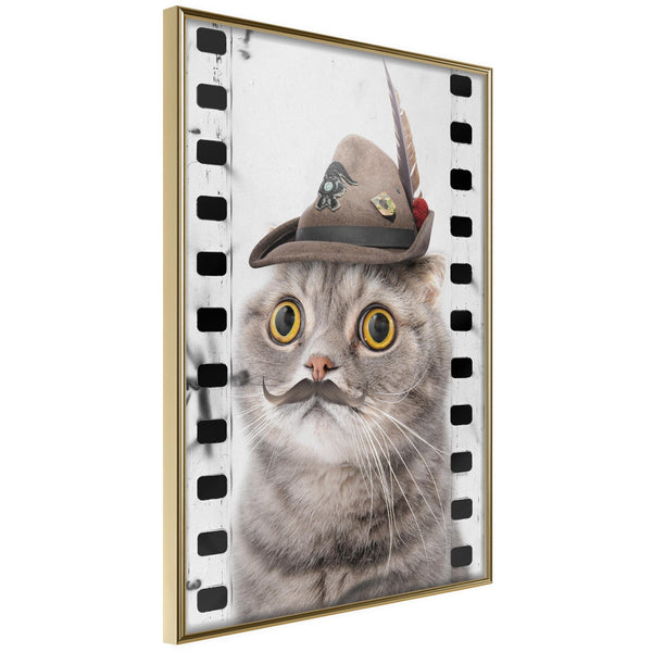 Poster - Dressed Up Cat