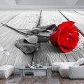 Wallpaper - Abandoned Rose