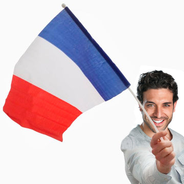 French Flag with Pole (46 x 30 cm)