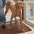 InnovaGoods Pet Doormat 85 x 65 cm