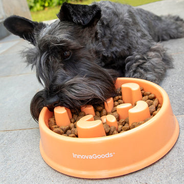 Gamelle à Alimentation Lente pour Animaux de Compagnie Slowfi InnovaGoods