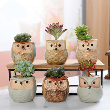 6PCS Mini Owl Plant Pots Ceramic Succulent Cactus Bonsai Flower Pots