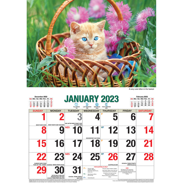 Cute Cats 2023 Rectangle Wall Calendar 16 Months Planner New Year Christmas Gift