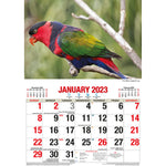 Australian Birds – 2023 Rectangle Wall Calendar 16 Months Planner New Year Gift