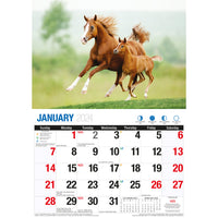 Horses - 2024 Rectangle Wall Calendar 16 Months Animal Planner New Year Gift