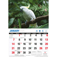 Birds Of Australia - 2024 Rectangle Wall Calendar 16 Months Birdwatching Photos