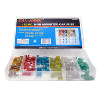 120-pc. Mini Assorted Car Fuse