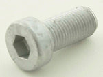 Allen screw steel M12 x 1.25 shaft length 25 mm chrome screw hexagon screw