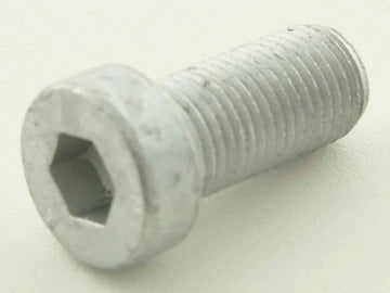 Allen screw steel M12 x 1.25 shaft length 25 mm chrome screw hexagon screw