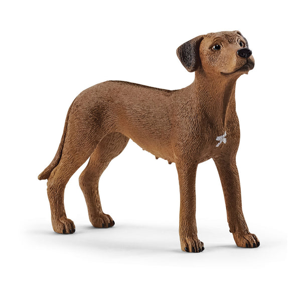 SCHLEICH Farm World Rhodesian Ridgeback Toy Figure (13895)