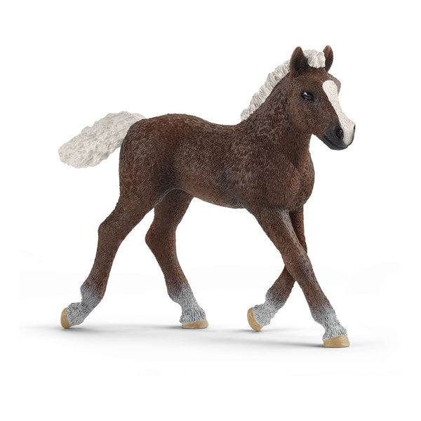 SCHLEICH Farm World Black Forest Foal Toy Figure (13899)